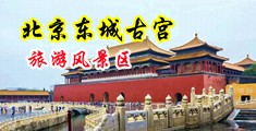 激情内射视频中国北京-东城古宫旅游风景区